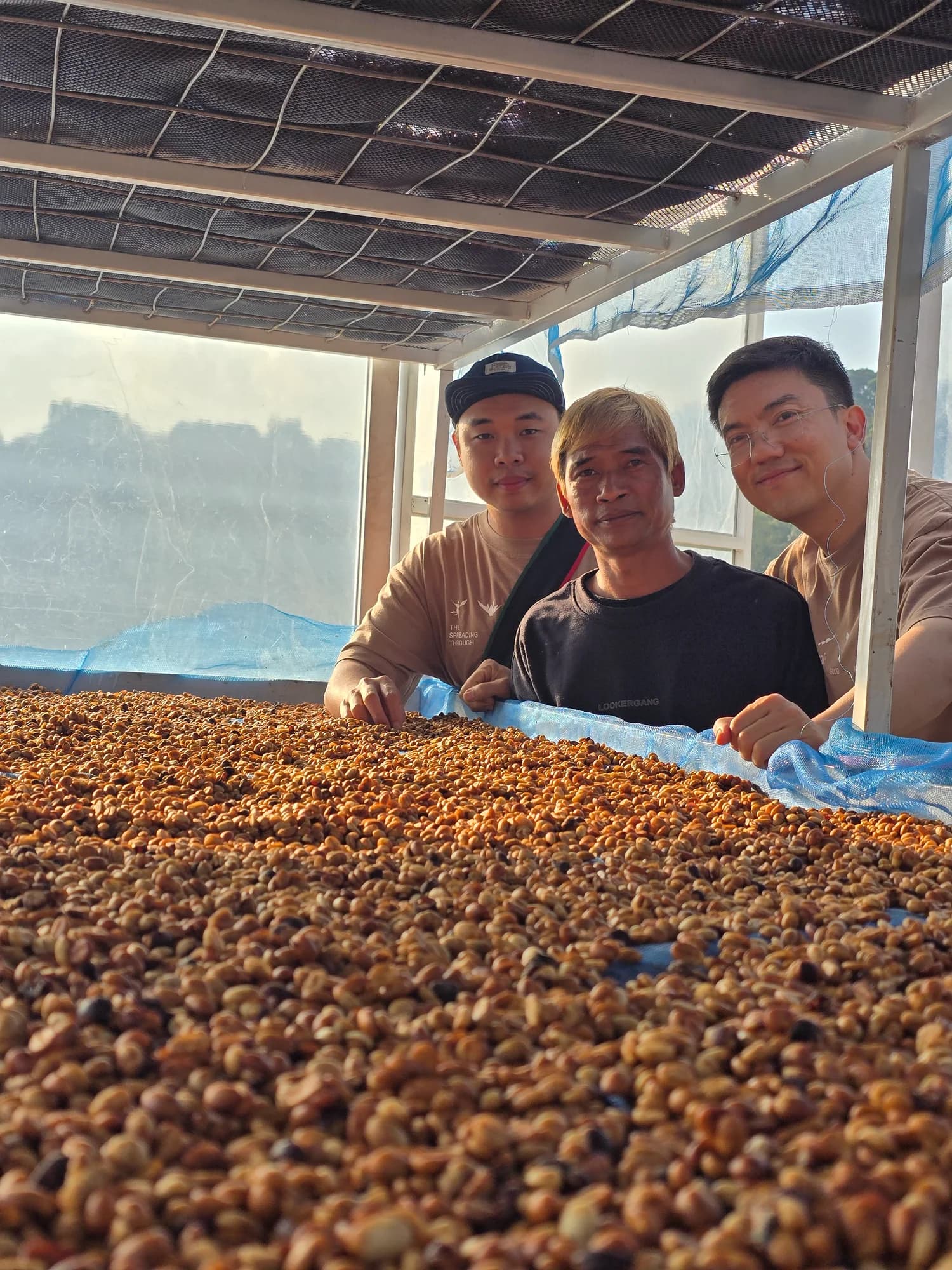 Three visitors standing together beside raised coffee drying beds.